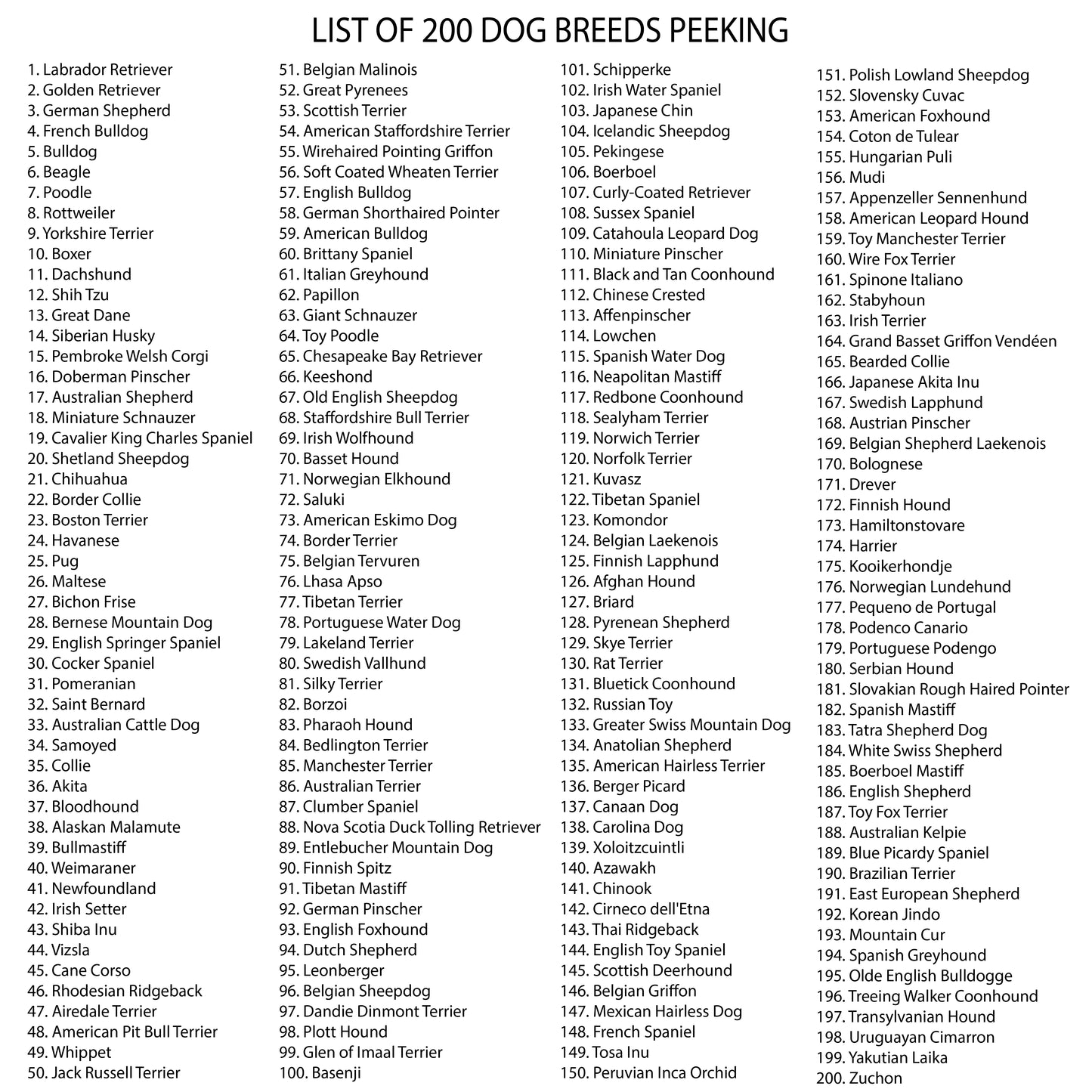 "Furry" Christmas Ball