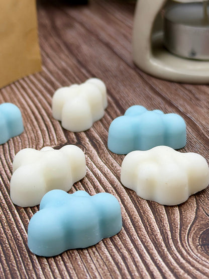 Wax Melts artesanales Ropa Limpia Fresca