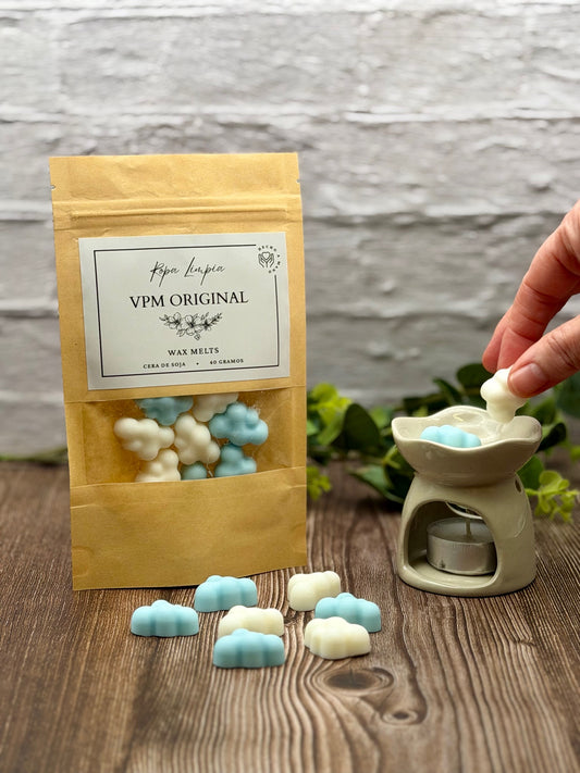 Wax Melts artesanales Ropa Limpia Fresca