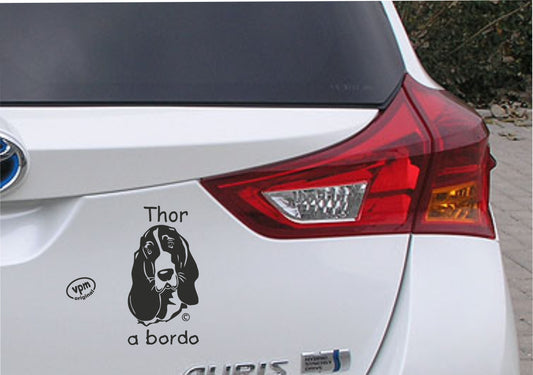 Basset Hound